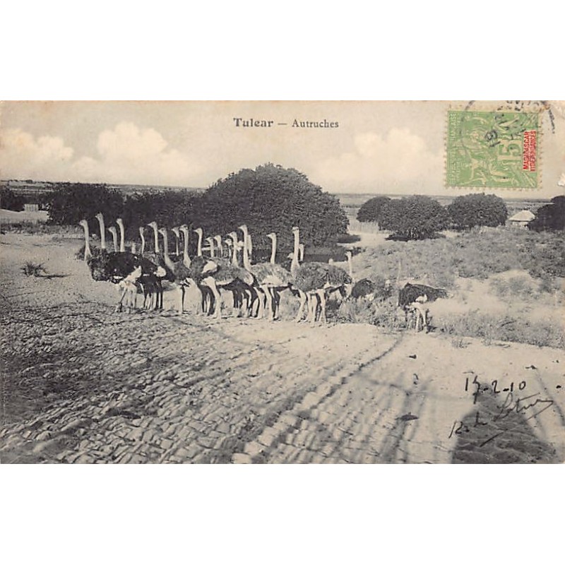 Rare collectable postcards of MADAGASCAR. Vintage Postcards of MADAGASCAR