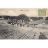 Rare collectable postcards of MADAGASCAR. Vintage Postcards of MADAGASCAR