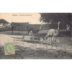 Rare collectable postcards of MADAGASCAR. Vintage Postcards of MADAGASCAR