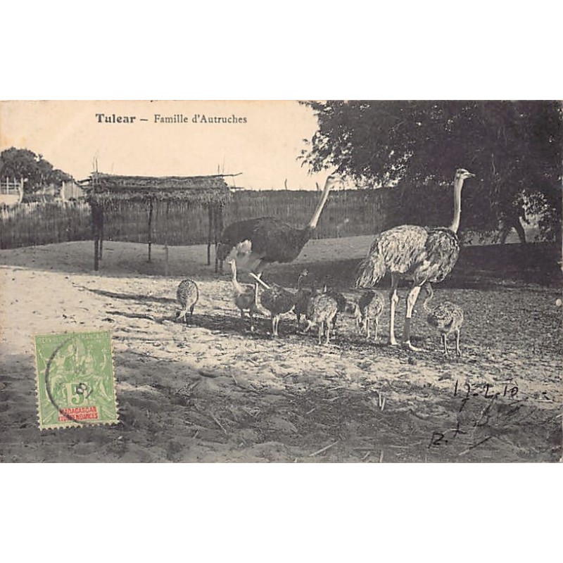 Rare collectable postcards of MADAGASCAR. Vintage Postcards of MADAGASCAR