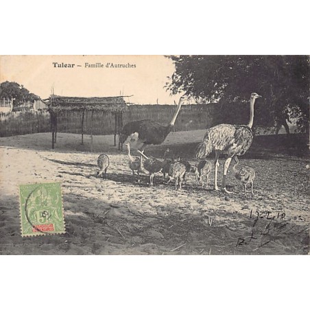 Rare collectable postcards of MADAGASCAR. Vintage Postcards of MADAGASCAR