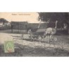 Rare collectable postcards of MADAGASCAR. Vintage Postcards of MADAGASCAR