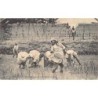 Rare collectable postcards of MADAGASCAR. Vintage Postcards of MADAGASCAR