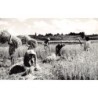 Rare collectable postcards of MADAGASCAR. Vintage Postcards of MADAGASCAR