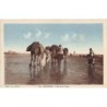 Rare collectable postcards of MOROCCO. Vintage Postcards of MOROCCO