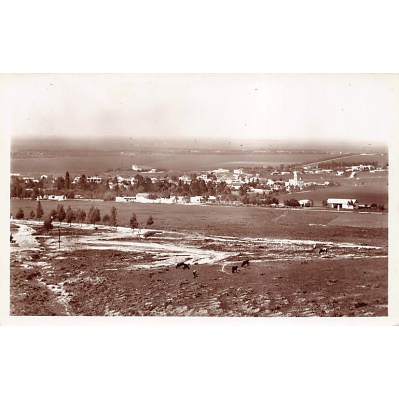 Rare collectable postcards of MOROCCO. Vintage Postcards of MOROCCO