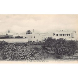 Rare collectable postcards of MOROCCO. Vintage Postcards of MOROCCO