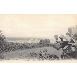 Rare collectable postcards of MOROCCO. Vintage Postcards of MOROCCO