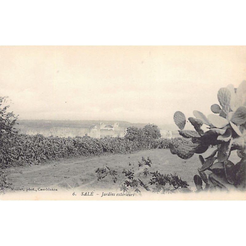 Rare collectable postcards of MOROCCO. Vintage Postcards of MOROCCO