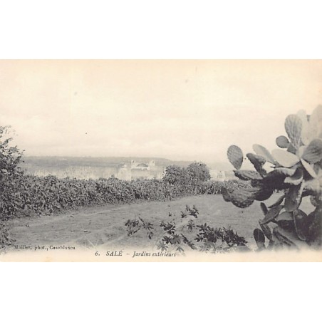 Rare collectable postcards of MOROCCO. Vintage Postcards of MOROCCO