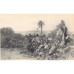 Rare collectable postcards of MOROCCO. Vintage Postcards of MOROCCO
