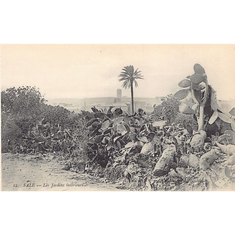 Rare collectable postcards of MOROCCO. Vintage Postcards of MOROCCO