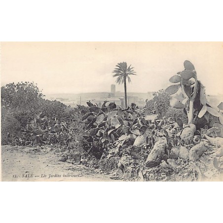 Rare collectable postcards of MOROCCO. Vintage Postcards of MOROCCO