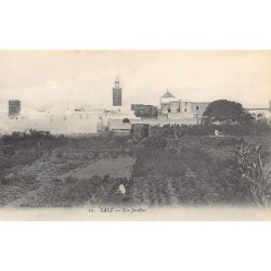 Rare collectable postcards of MOROCCO. Vintage Postcards of MOROCCO