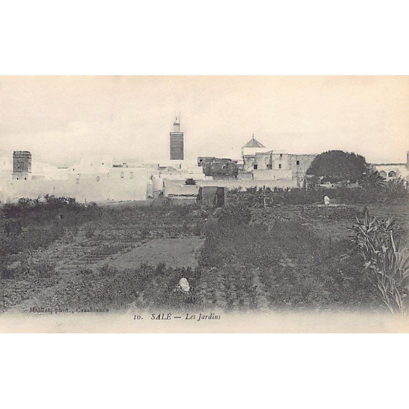 Rare collectable postcards of MOROCCO. Vintage Postcards of MOROCCO