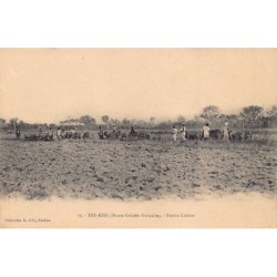 Rare collectable postcards of GUINEA CONAKRY. Vintage Postcards of GUINEA CONAKRY