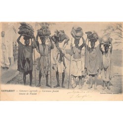 Rare collectable postcards of GUINEA CONAKRY. Vintage Postcards of GUINEA CONAKRY