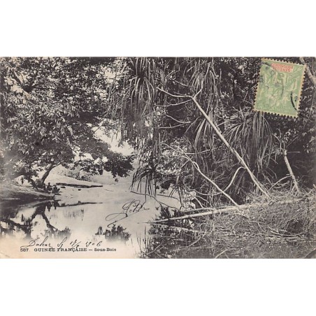 Rare collectable postcards of GUINEA CONAKRY. Vintage Postcards of GUINEA CONAKRY