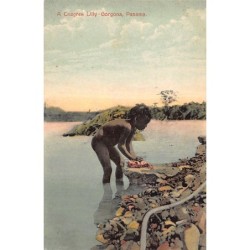 Rare collectable postcards of PANAMA. Vintage Postcards of PANAMA