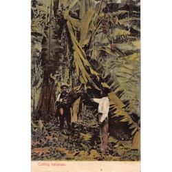 Rare collectable postcards of PANAMA. Vintage Postcards of PANAMA