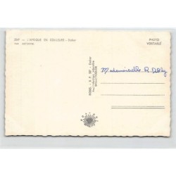 Rare collectable postcards of SENEGAL. Vintage Postcards of SENEGAL