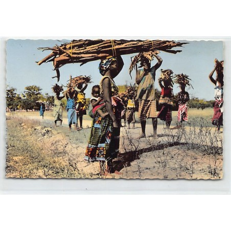 Rare collectable postcards of SENEGAL. Vintage Postcards of SENEGAL