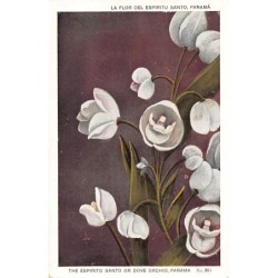 Rare collectable postcards of PANAMA. Vintage Postcards of PANAMA