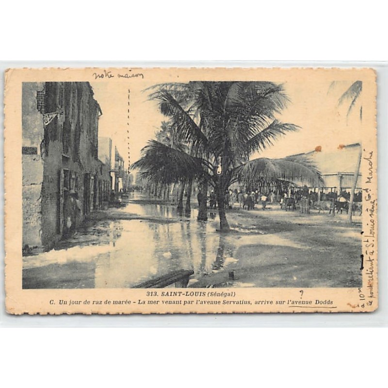 Rare collectable postcards of SENEGAL. Vintage Postcards of SENEGAL