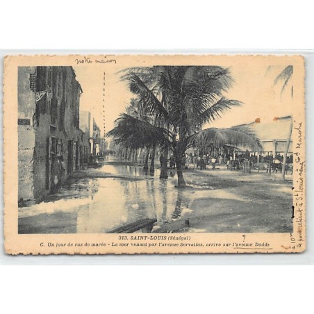 Rare collectable postcards of SENEGAL. Vintage Postcards of SENEGAL