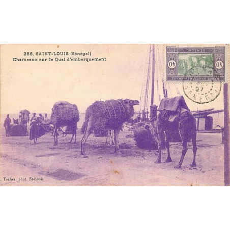 Rare collectable postcards of SENEGAL. Vintage Postcards of SENEGAL