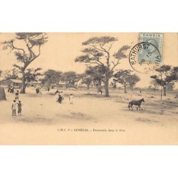 Rare collectable postcards of SENEGAL. Vintage Postcards of SENEGAL