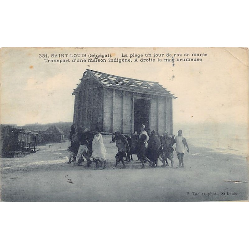 Rare collectable postcards of SENEGAL. Vintage Postcards of SENEGAL