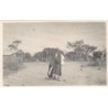 Rare collectable postcards of SENEGAL. Vintage Postcards of SENEGAL