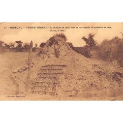 Rare collectable postcards of SENEGAL. Vintage Postcards of SENEGAL