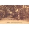 Rare collectable postcards of SENEGAL. Vintage Postcards of SENEGAL
