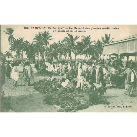 Rare collectable postcards of SENEGAL. Vintage Postcards of SENEGAL