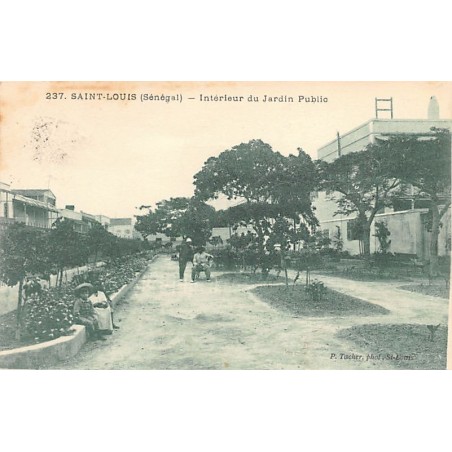 Rare collectable postcards of SENEGAL. Vintage Postcards of SENEGAL