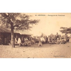 Rare collectable postcards of SENEGAL. Vintage Postcards of SENEGAL