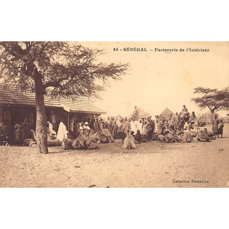 Rare collectable postcards of SENEGAL. Vintage Postcards of SENEGAL