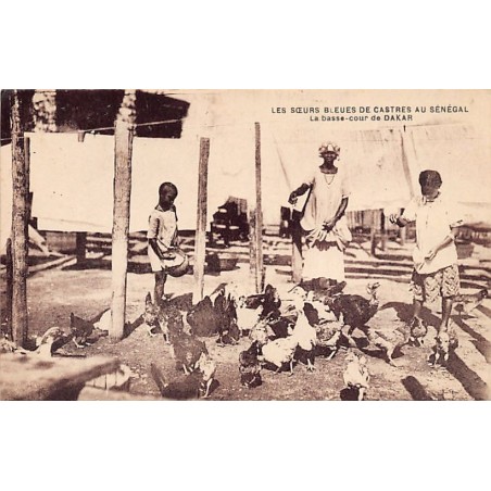 Rare collectable postcards of SENEGAL. Vintage Postcards of SENEGAL