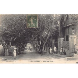 Rare collectable postcards of ALGERIA. Vintage Postcards of ALGERIA