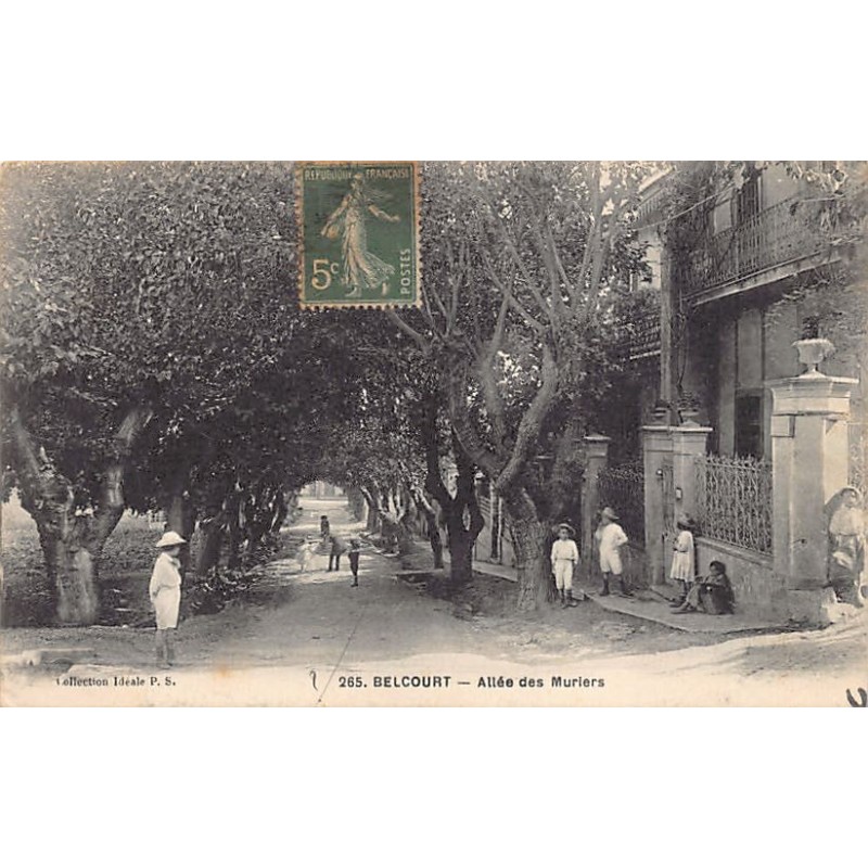 Rare collectable postcards of ALGERIA. Vintage Postcards of ALGERIA