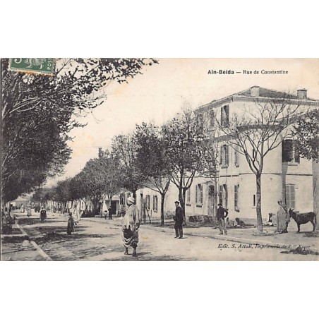 Rare collectable postcards of ALGERIA. Vintage Postcards of ALGERIA