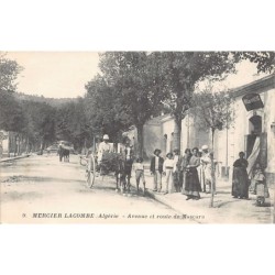 Rare collectable postcards of ALGERIA. Vintage Postcards of ALGERIA