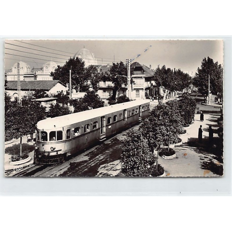 Rare collectable postcards of ALGERIA. Vintage Postcards of ALGERIA