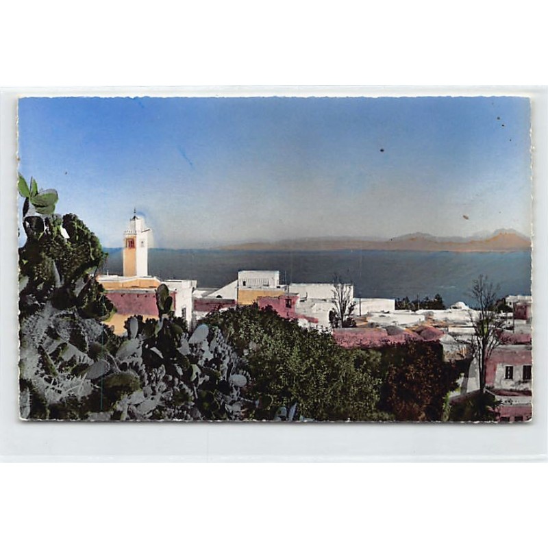 Rare collectable postcards of TUNISIA. Vintage Postcards of TUNISIA