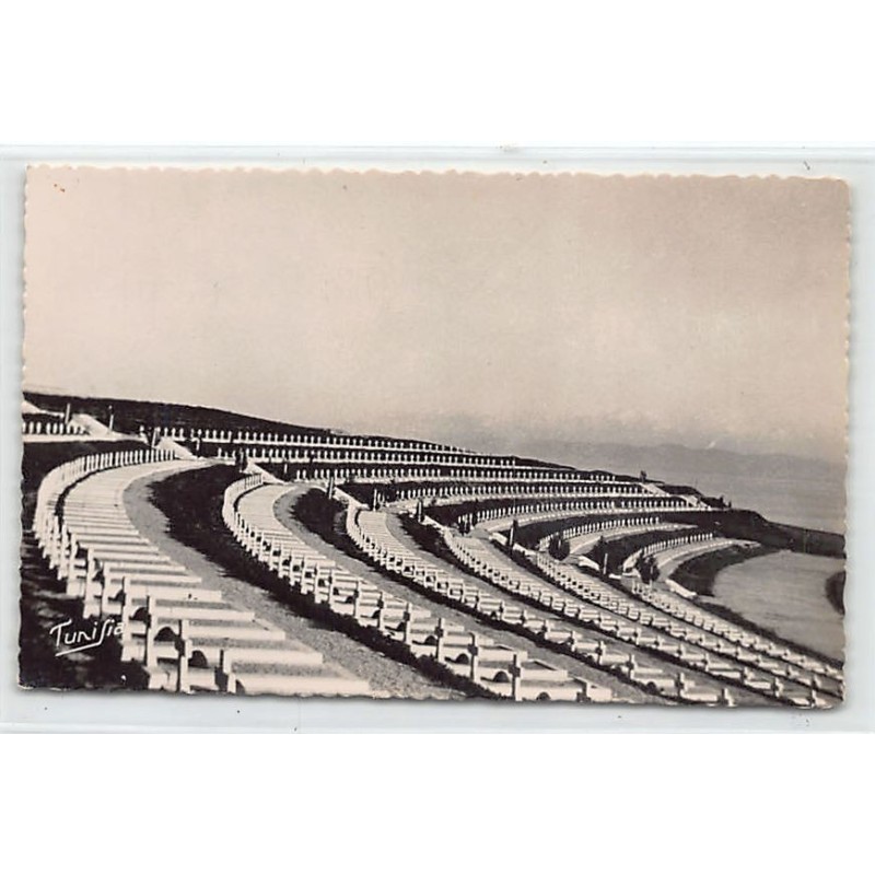 Rare collectable postcards of TUNISIA. Vintage Postcards of TUNISIA