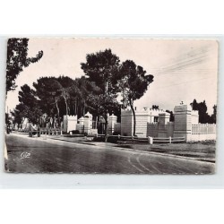 Rare collectable postcards of TUNISIA. Vintage Postcards of TUNISIA