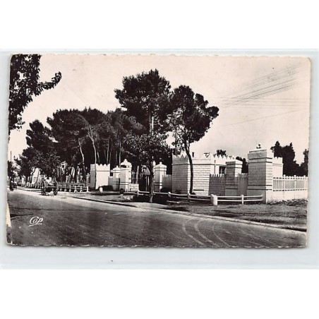 Rare collectable postcards of TUNISIA. Vintage Postcards of TUNISIA