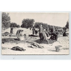 Rare collectable postcards of TUNISIA. Vintage Postcards of TUNISIA